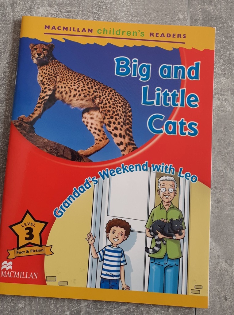 KSIĄŻECZKA READERS MacMillan Big and Little Cats Skawina Kup teraz