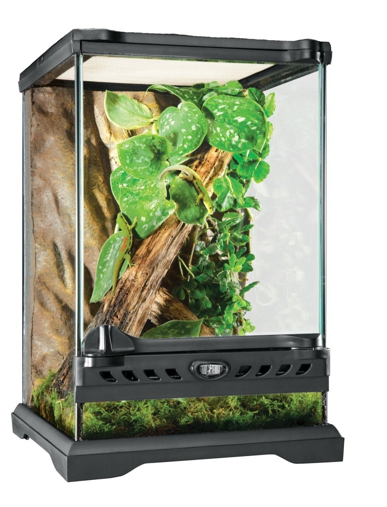 EXOTERRA Terrarium 20x20x30 Nano Tall Kielce Kup teraz na Allegro Lokalnie