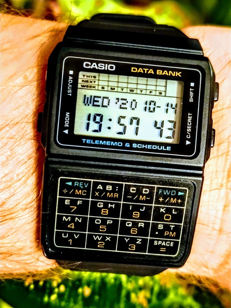 Casio dbc 61 2025