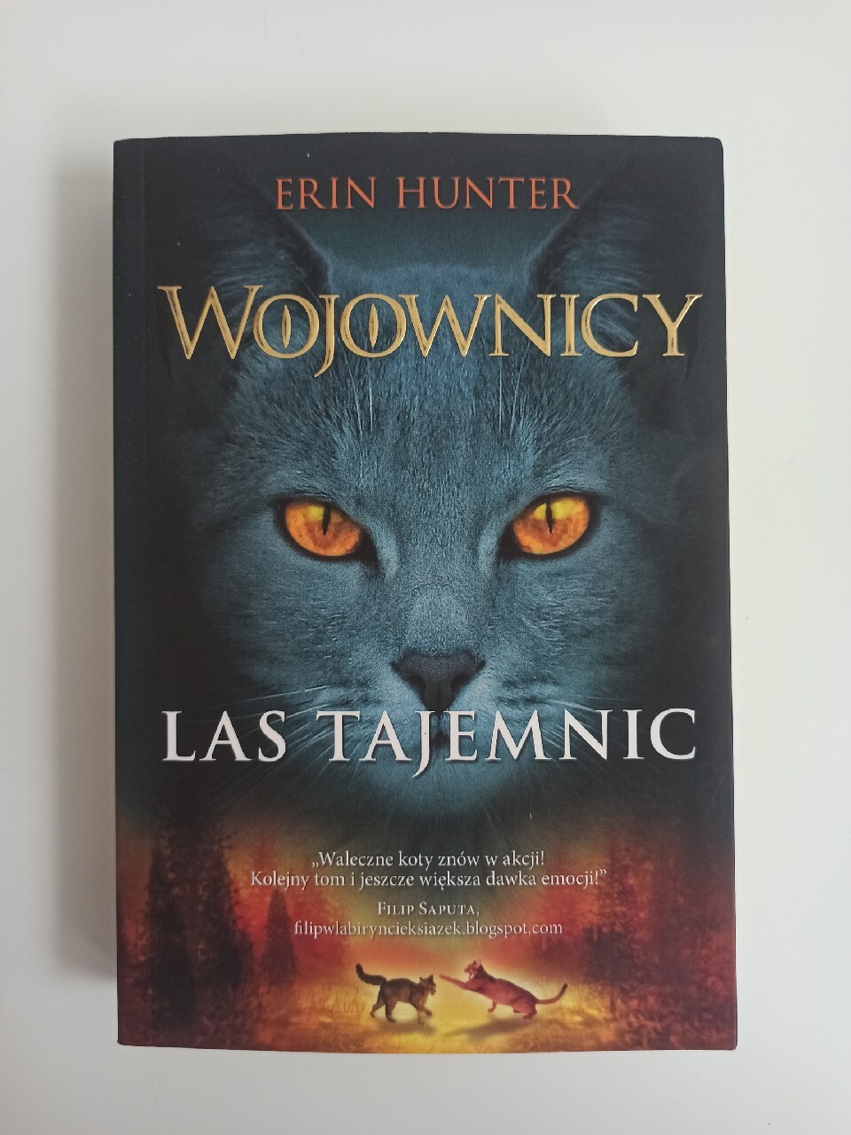 Erin Hunter Wojownicy 3 Las tajemnic Olsztyn Kup teraz na Allegro