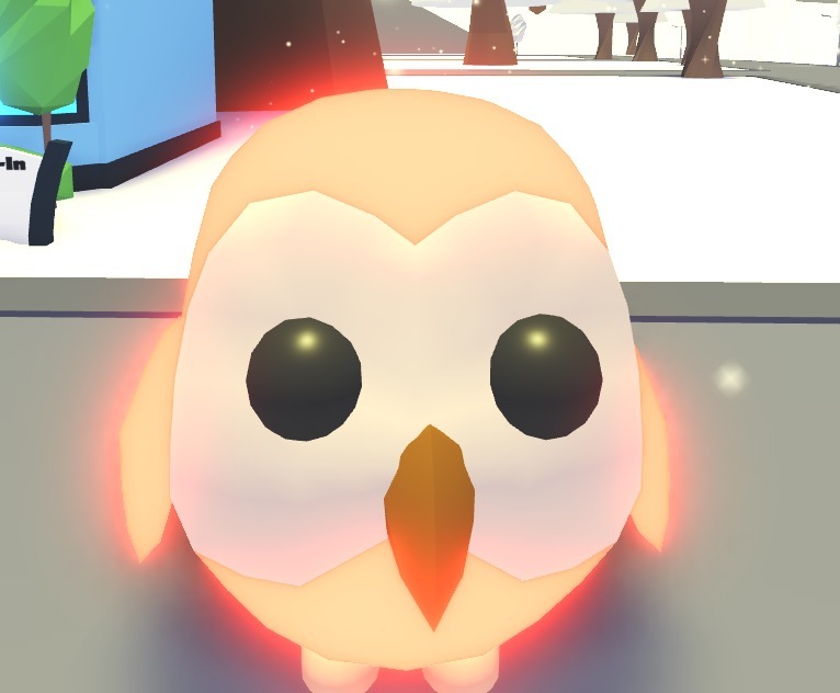 Roblox Adopt Me Owl NFR (sowa) | Trzciel | Kup teraz na Allegro Lokalnie