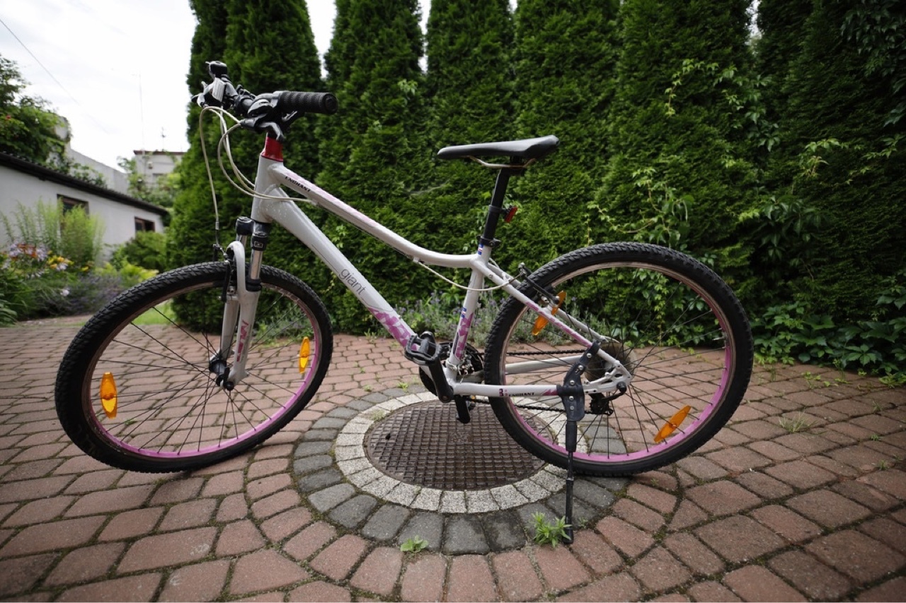 Giant liv enchant 26 hotsell