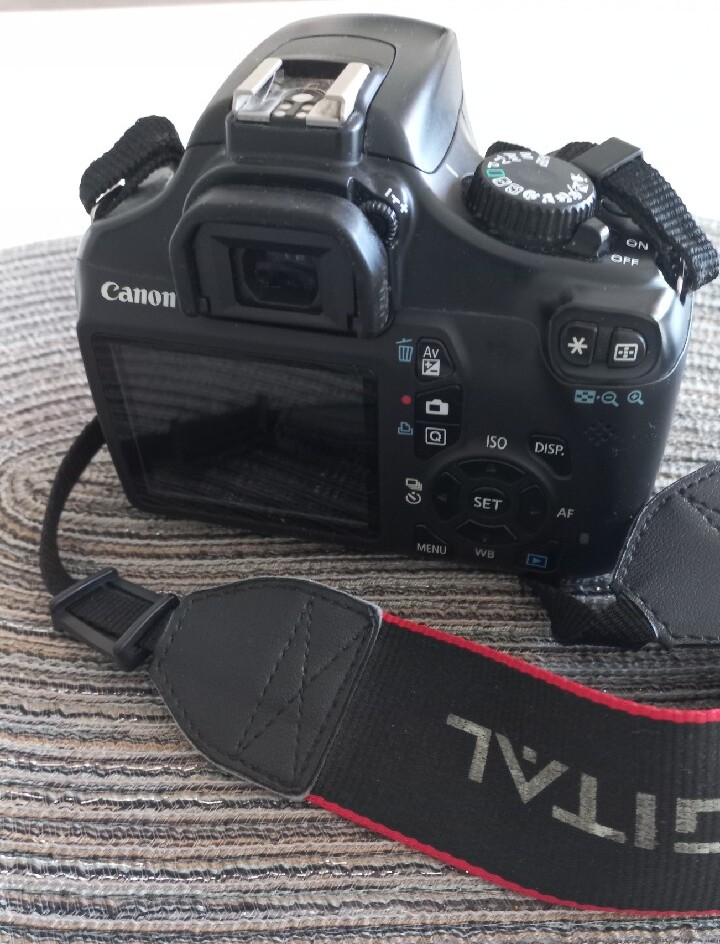 Canon EOS 1100D Body Przebieg 20040 zdjęć | Żagań | Kup teraz na ...