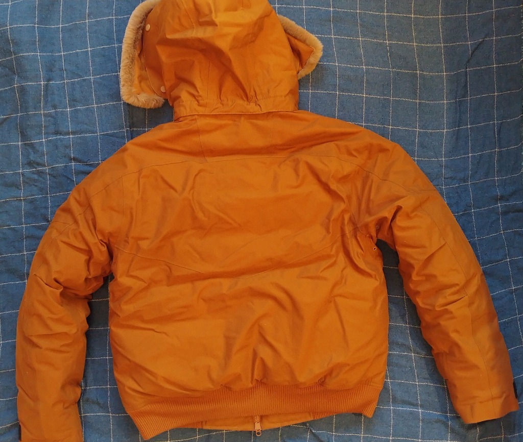 lacoste bh8400
