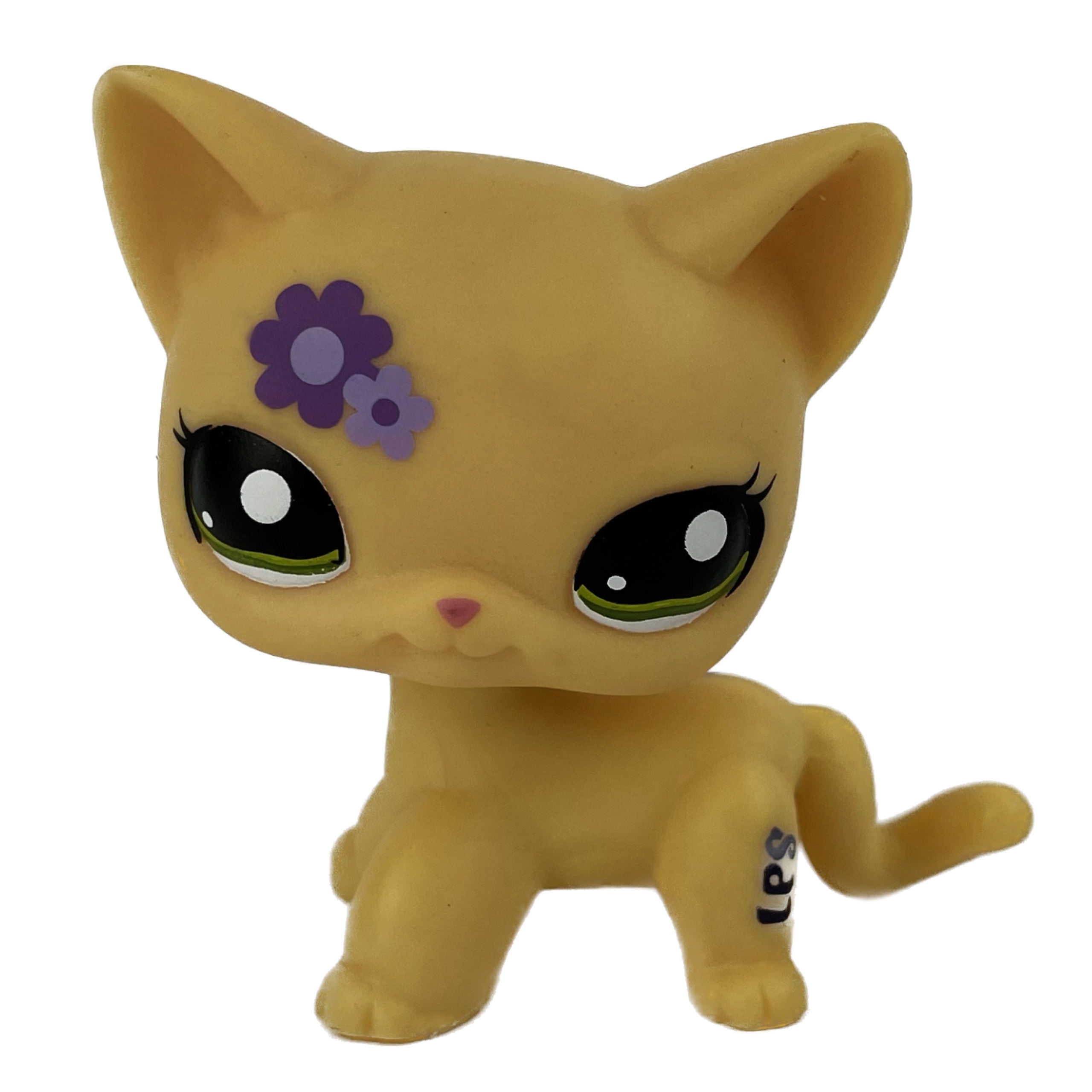 LPS LITTLEST PET SHOP kot kotek shorthair Złotoryja Kup teraz na