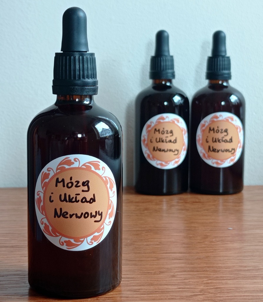 Mózg i Układ Nerwowy (Brain&Nerve) R. Morse 100 ml Olesno Kup teraz na Allegro Lokalnie