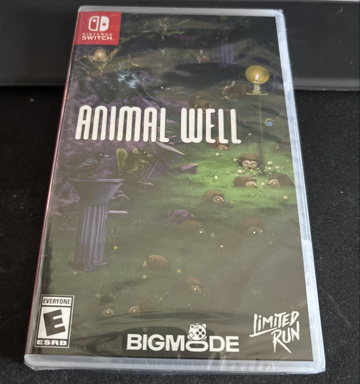 Animal Well - Switch, LRG | Warszawa | Kup teraz na Allegro