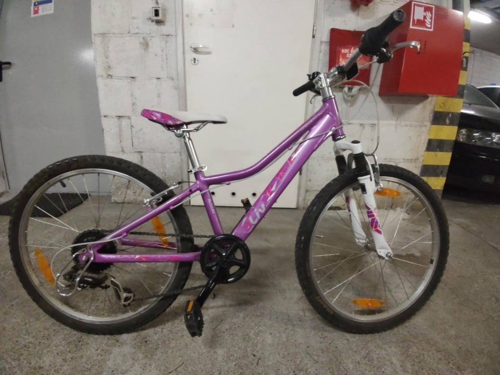 Giant liv areva 24 hotsell