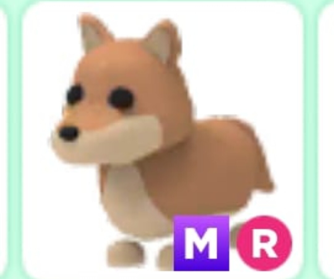 Dingo adopt me roblox Czernica Kup teraz na Allegro Lokalnie