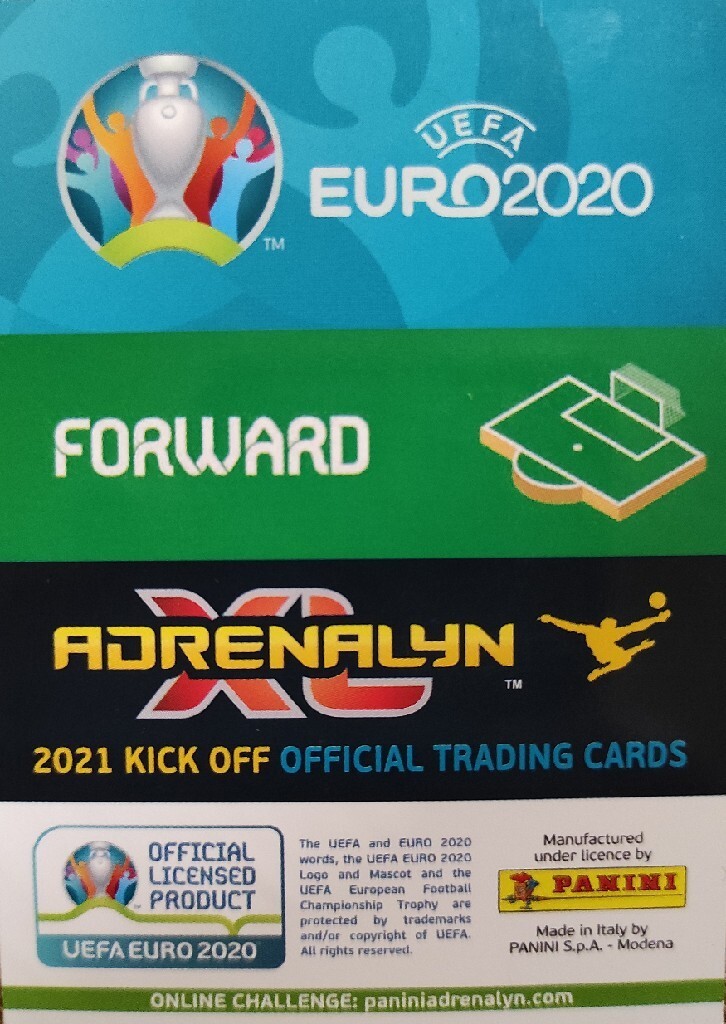 Zdjęcie oferty: Euro 2020/2021 Robert Lewandowski - master
