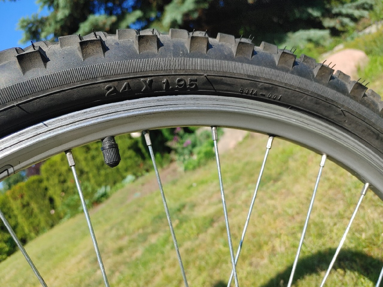 Rower Kellys Junior Gdańsk Kup teraz na Allegro Lokalnie