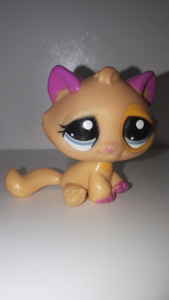 LPS LITTLEST PET SHOP KOTEK TABBY CAT 2406 Warszawa Kup teraz na Allegro Lokalnie