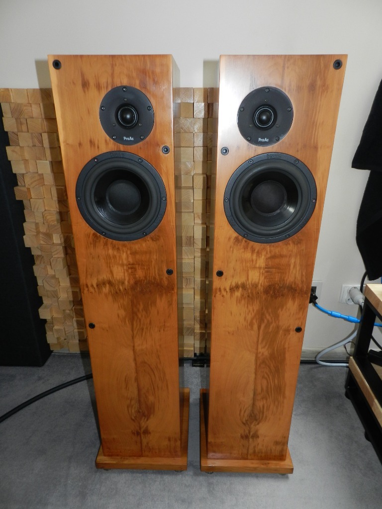ProAc Response D25 Super Stan. Cena sklep 20000z Puck Kup