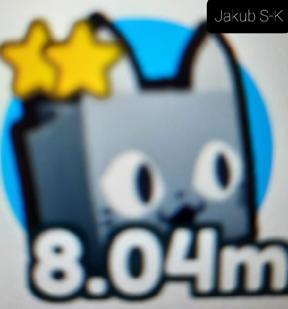 POG CAT (x1) PET SIMULATOR X ROBLOX Bydgoszcz Kup teraz na Allegro