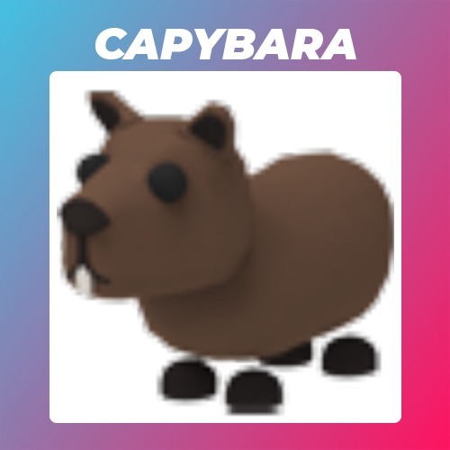 Roblox Adopt Me Capybara CzechowiceDziedzice Kup teraz na Allegro