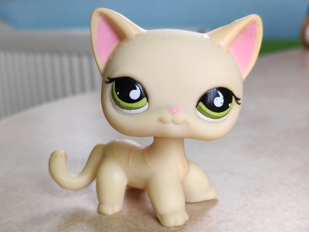 LPS Littlest Pet Shop kotek Shorthair pop 733 roda
