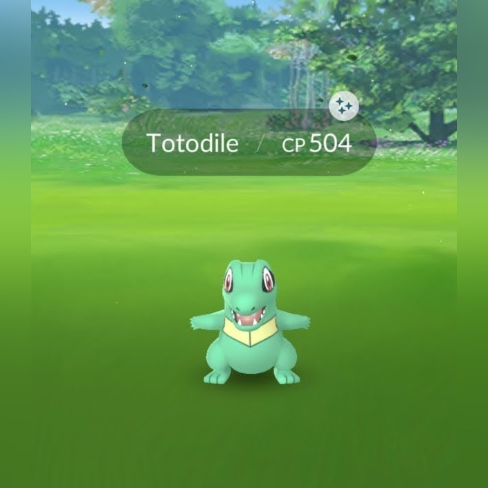 Pokemon Go Shiny Totodile Kowale Licytacja Na Allegro Lokalnie