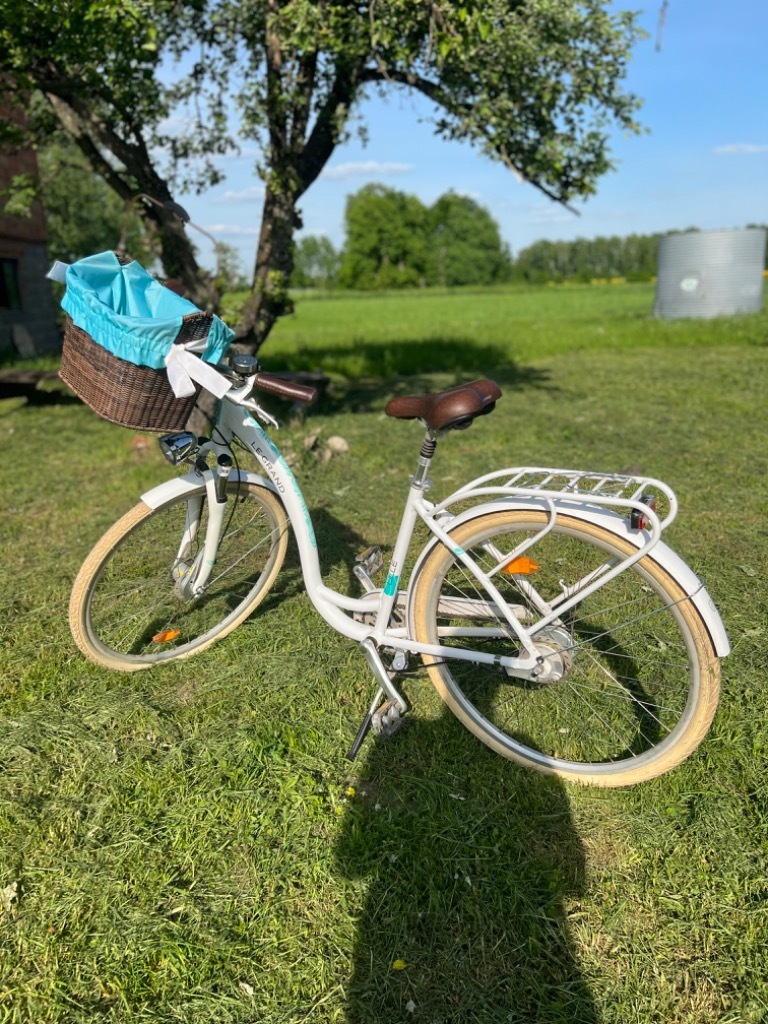 Rower damski Le Grand Lille 7 R20 rozmiar L Dmosin Kup teraz na