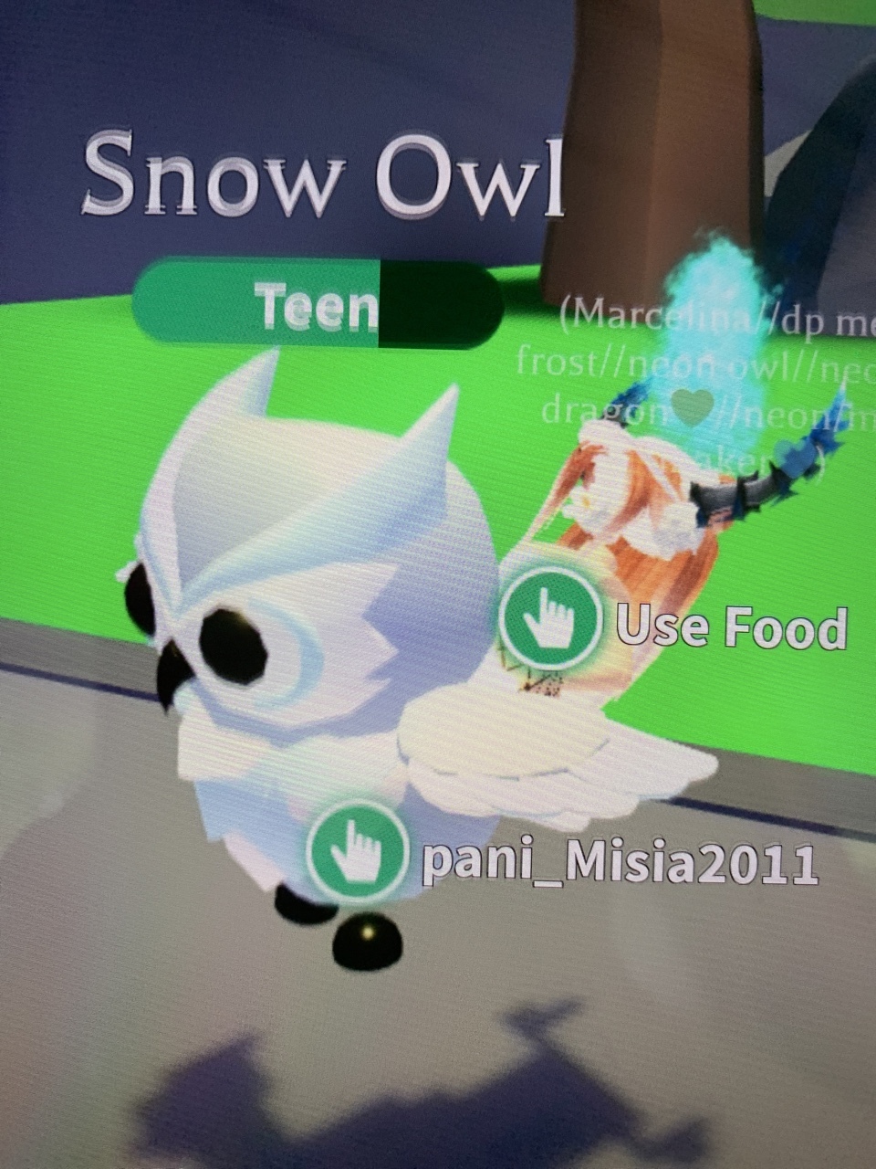 Fr snow owl adopt me Piaseczno Kup teraz na Allegro Lokalnie