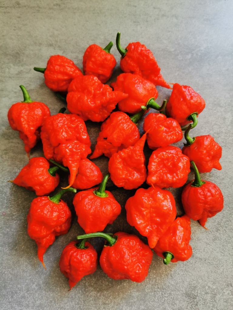 Carolina Reaper Dragon Breath Mega Ostre Sosy Góra Kup teraz na