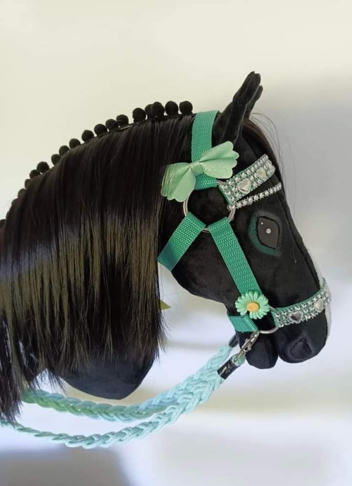 Kary hobby horse, miętowe wyposażenie, nowy Częstochowa Kup teraz