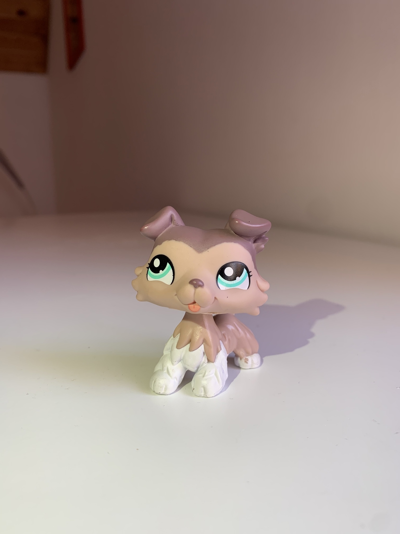 Lps collie cheap 1330
