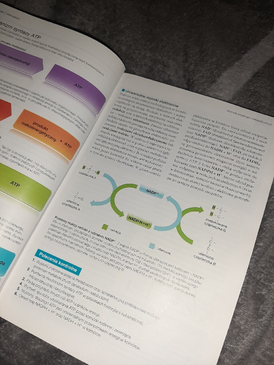 Biologia Na Czasie 2 Zakres Rozszerzony E-podręcznik Pdf Biologia na czasie 2 - Zakres rozszerzony | Ostrów Mazowiecka | Kup