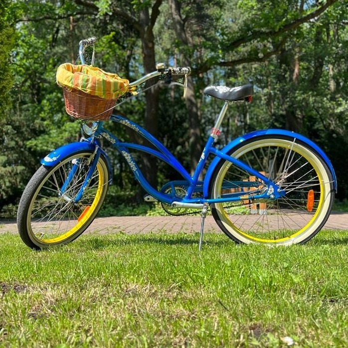 Electra Hawaii 3i 26″ Niska cena na Allegro.pl