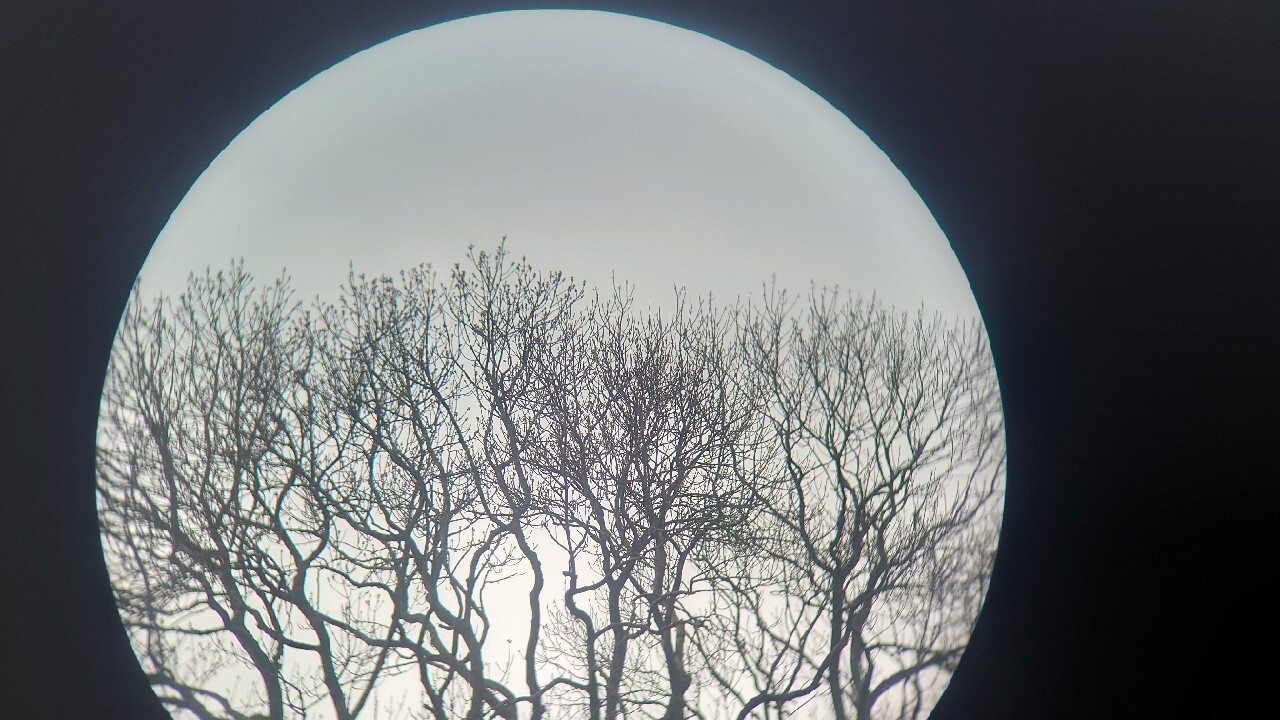 Nikon Venturer II 8x23 6,3° made in Japan Wolsztyn