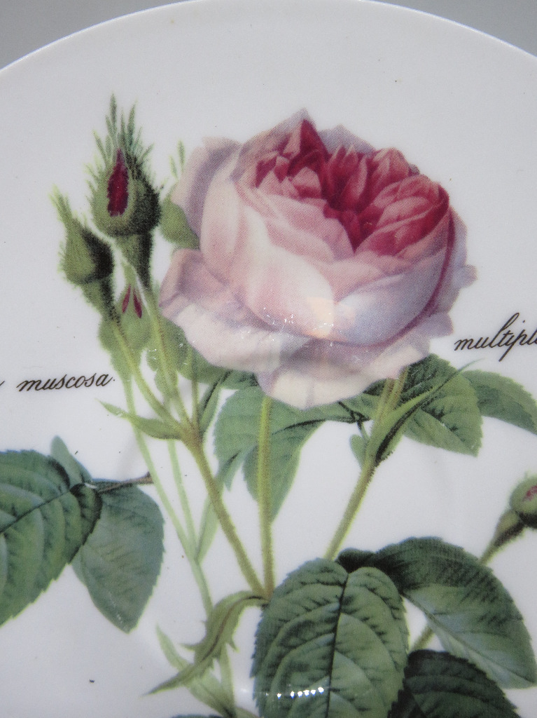 talerzyk * Redoute Roses * ROY KIRKHAM England Kalisz Kup teraz na