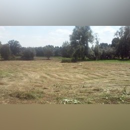 Сельскохозяйственный участок 67 соток