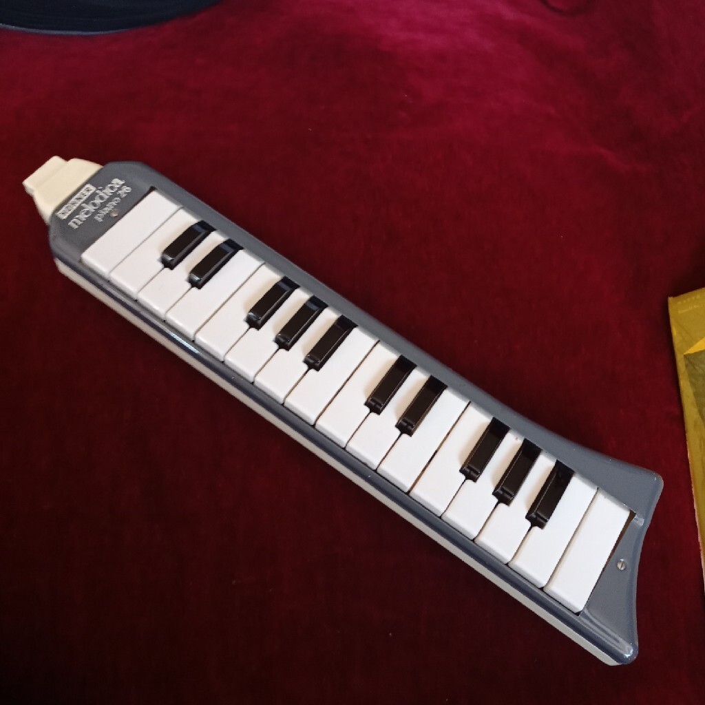 Hohner Melodica Piano 26 Krzywe Licytacja na Allegro Lokalnie