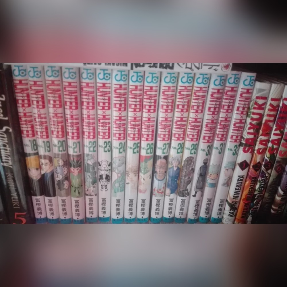 Hunter X Hunter Manga Pl