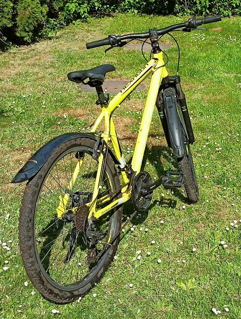 Rower Kross Hexagon X1 Zielony Warszawa Ogłoszenie na Allegro Lokalnie