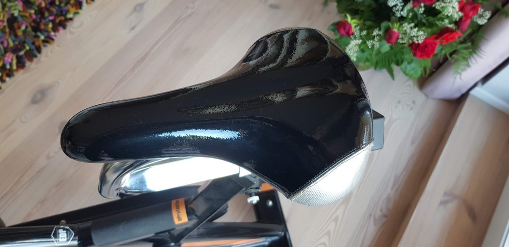 bh fitness duke spin bike