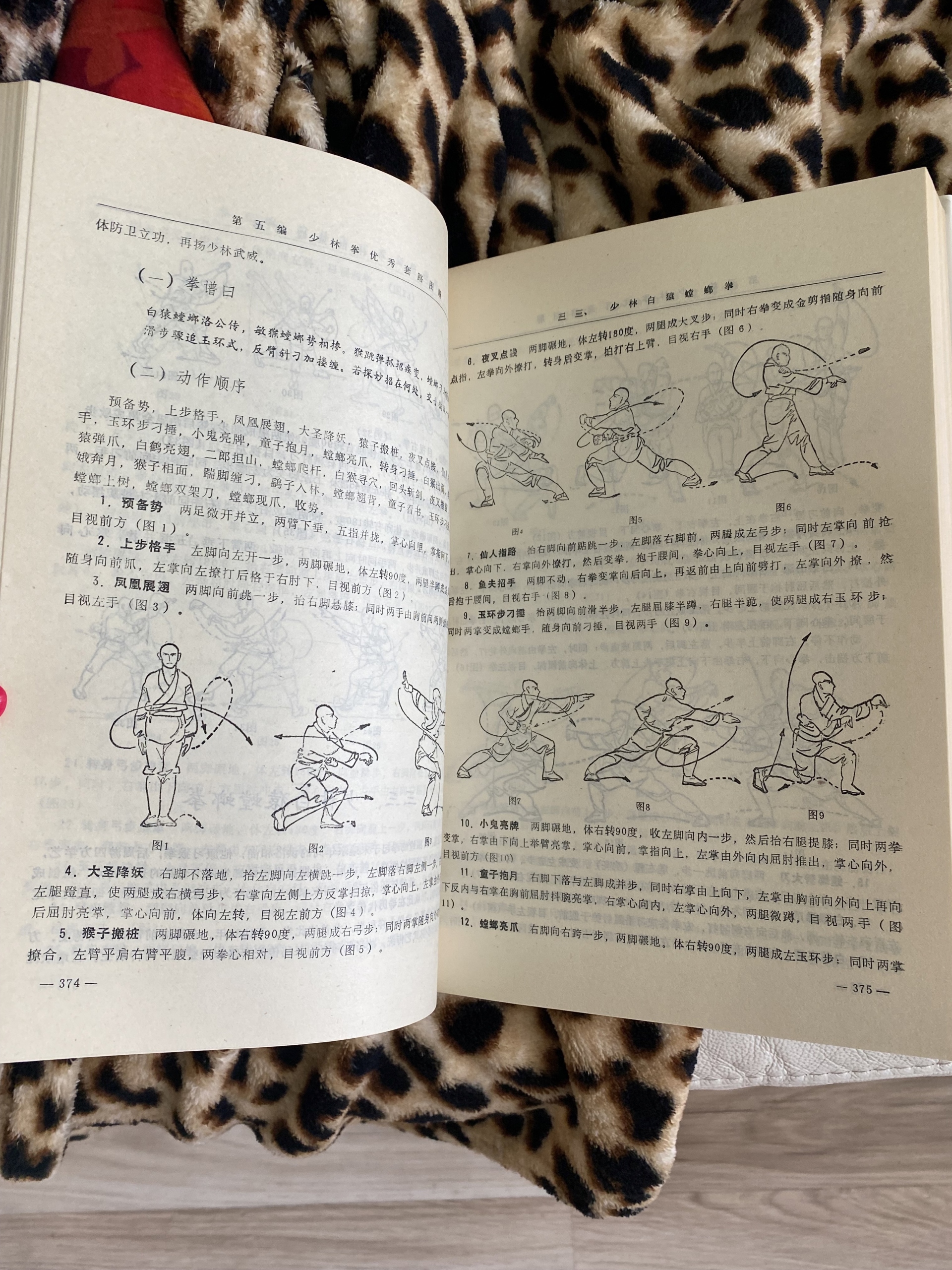 Zdjęcie oferty: Książki Księgi z Shaolin Kung-Fu Chiny 