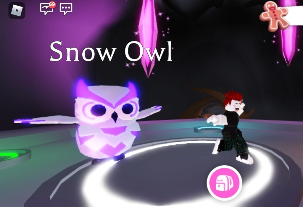 Adopt me Snow Owl MFR Snow Owl |Mega Snow Owl | Morawica | Kup teraz na