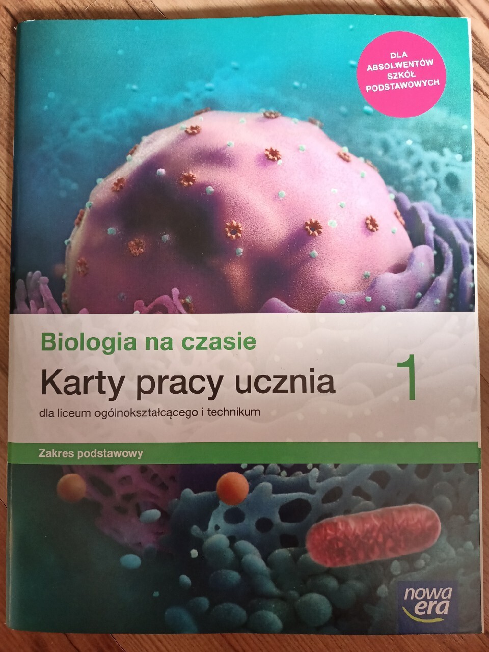 Biologia Na Czasie Karty Pracy