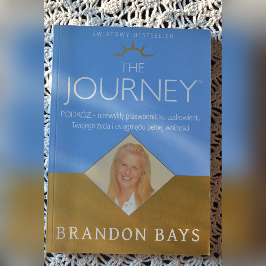 the journey book by brandon bays
