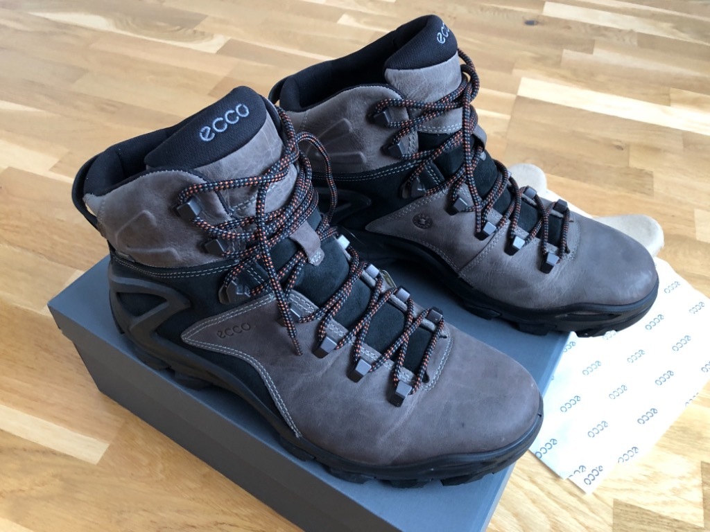 Ecco terra evo cheap sippi mid gtx