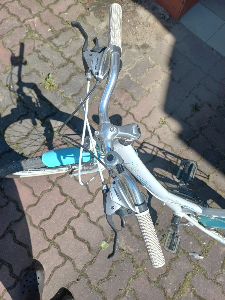 Rower Kands Amelka Warszawa Ogłoszenie na Allegro Lokalnie