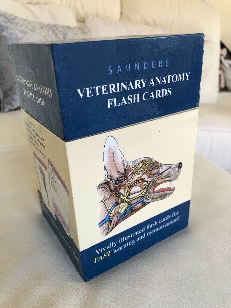 Saunders Veterinary Anatomy Flash Cards 1e Anatomy Fl vrogue.co