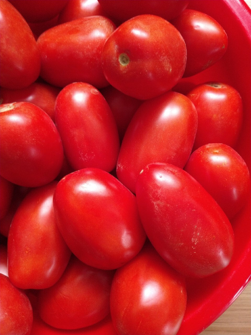 Pomidor Lima Nasiona Roszkowo Kup teraz na Allegro Lokalnie