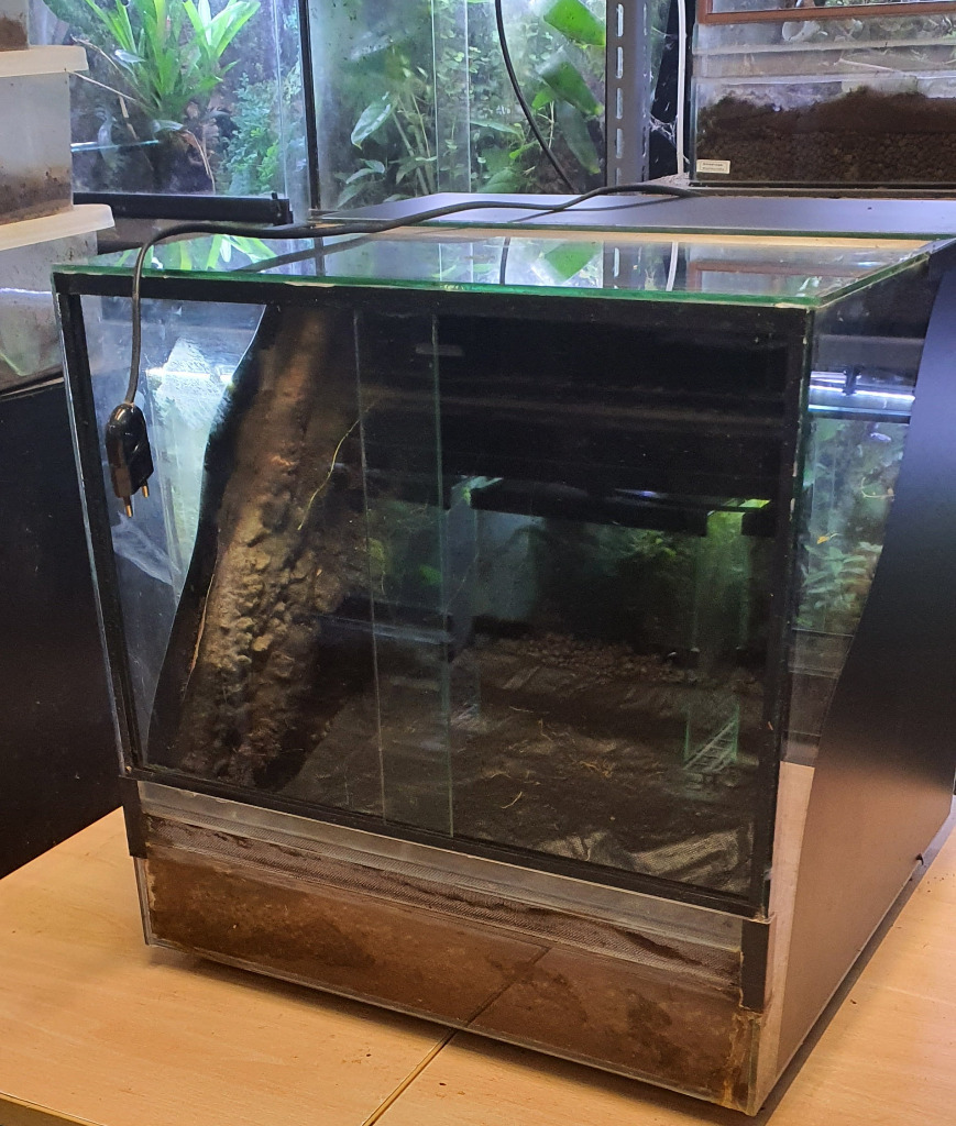 Terrarium 45x45x45 Tropical Factory Poznań Kup teraz na Allegro