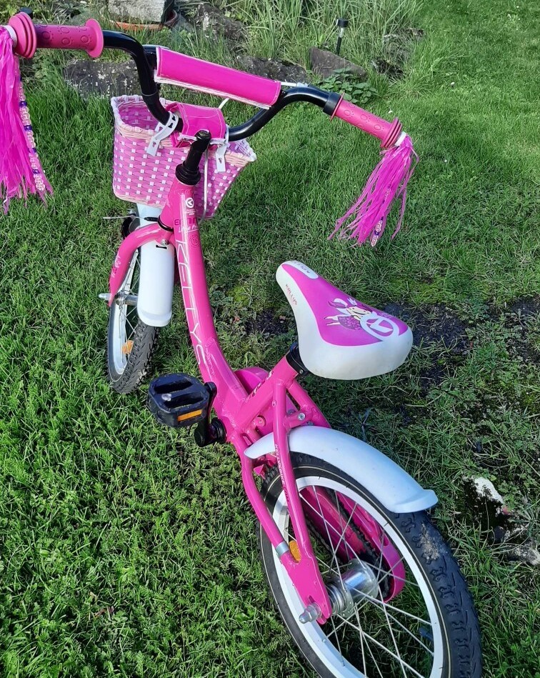 Rower Kellys Emma 16' Dąbrowa Górnicza Ogłoszenie na Allegro Lokalnie