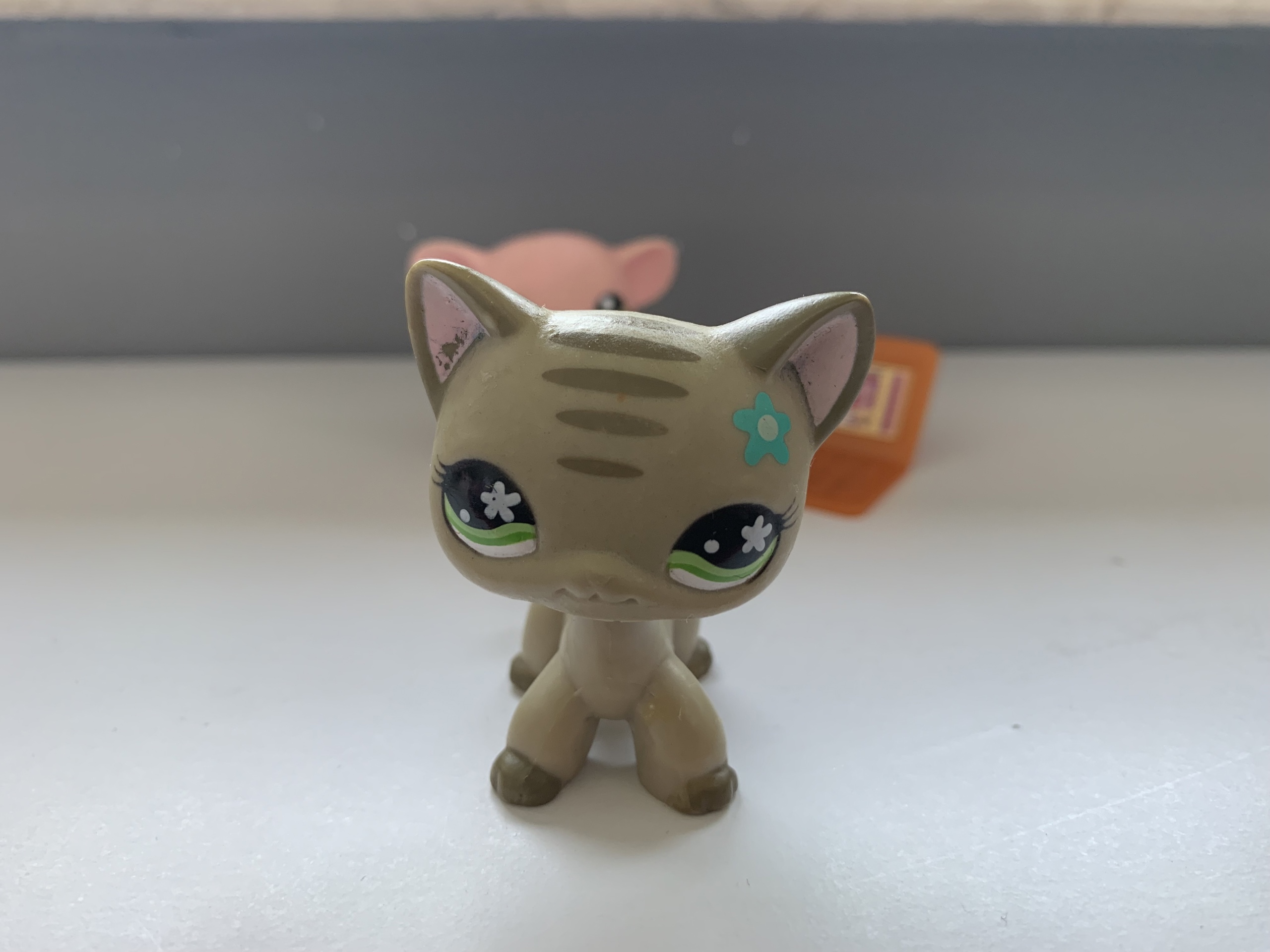 Kotek szary shorthair Cat LPS LITTLEST PET SHOP Olsztyn Kup teraz na Allegro Lokalnie