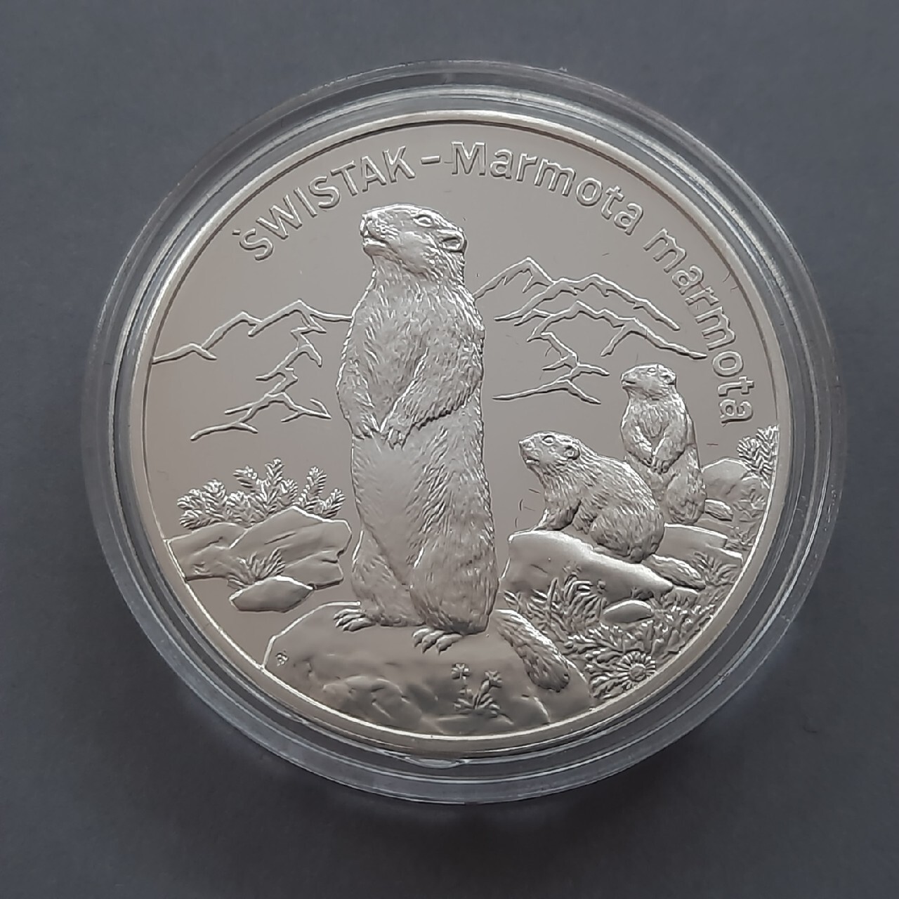 moneta srebrna polska Królestwa Polskiego z 1826r Łomża