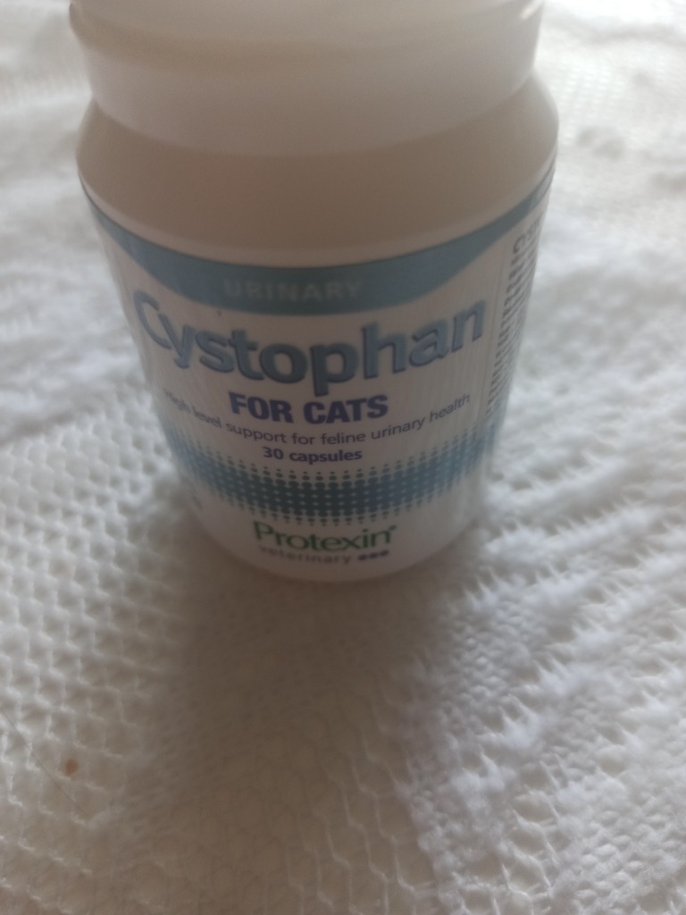 Cystophan dla kota | Józefów | Kup teraz na Allegro Lokalnie