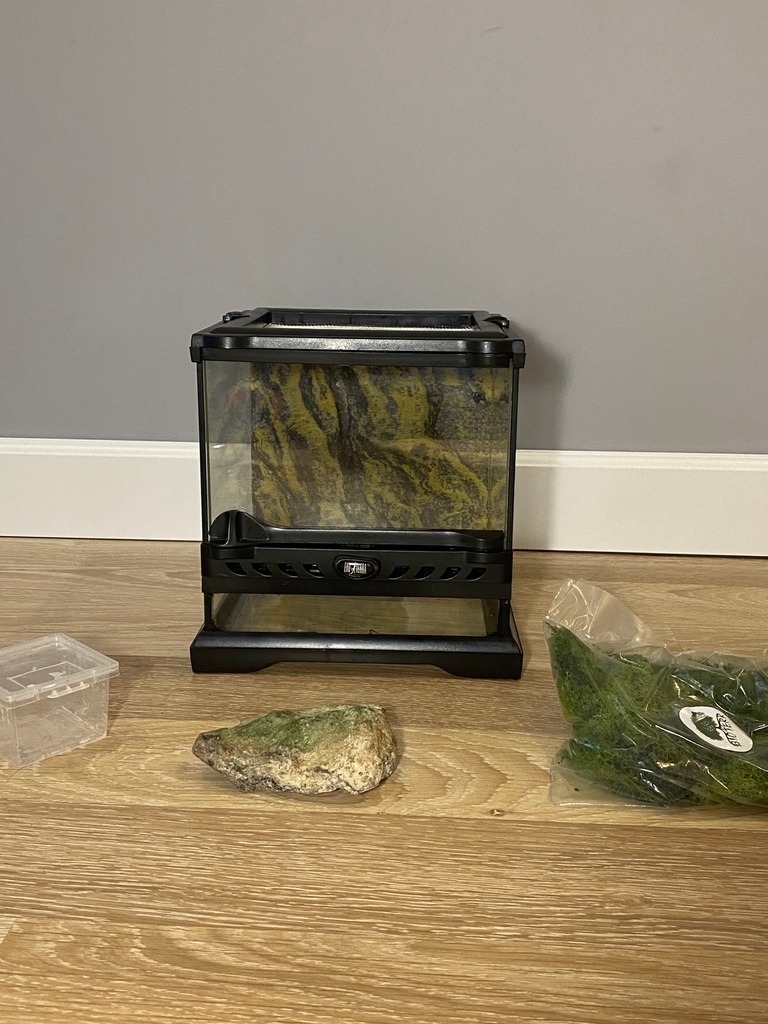 Terrarium Exo Terra Nano Wide 20x20x20 + GRATISY!! Nowa Iwiczna Kup teraz na Allegro Lokalnie