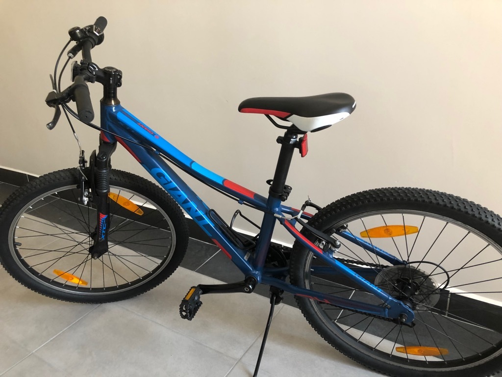 Rower Giant 24 Cale Warszawa Kup teraz na Allegro Lokalnie